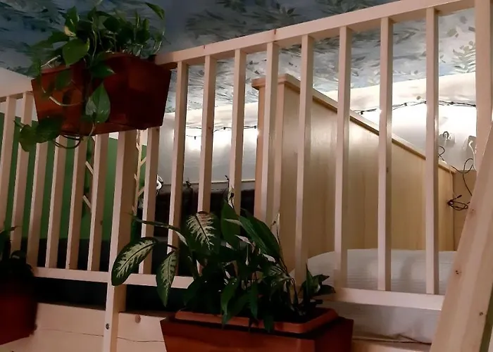 Apartman Clorofilla *